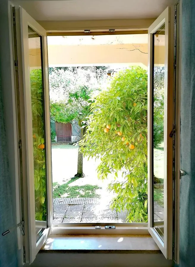 Il Nido Di Tonfano Apartment Marina di Pietrasanta Italy